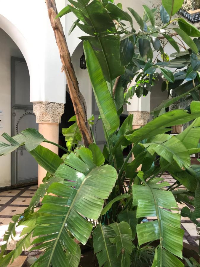 Riad Sahara Nour Марракеш Екстер'єр фото